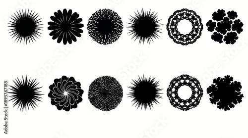 Collection of abstract black radial starburst and floral silhouette shapes arranged in two rows for graphic design, decoration, and patterns.
