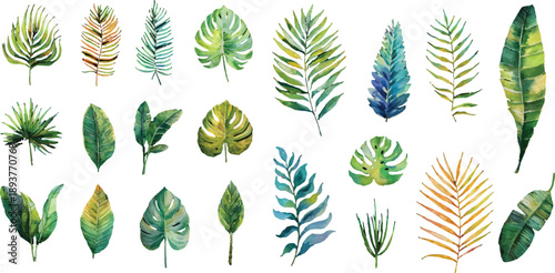 collection of green leaves