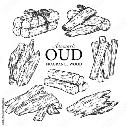 Sat of hand drawn aromatic oud fragrance woods outline drawing vector illustration