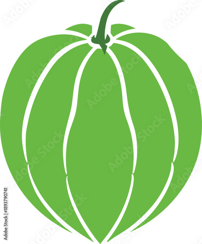 Dillenia Indica (Elephant Apple) Botanical Vector Illustration