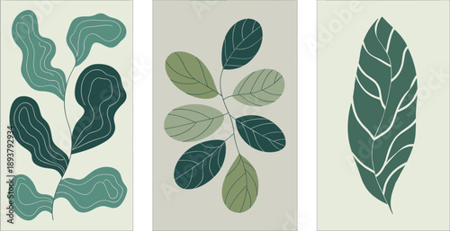 Minimal botanical leaf poster set, modern abstract green foliage illustrations, Scandinavian nature wall art, organic shapes, calm aesthetic design