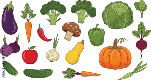 Fresh organic vegetable collection with pumpkin, broccoli, eggplant, pepper, carrot and healthy farm food illustration set