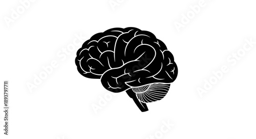 Minimalist black vector icon of a human brain isolated on a white background