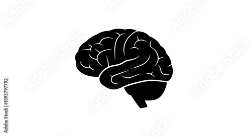A black and white vector illustration of the human brain representing thought and intelligence.