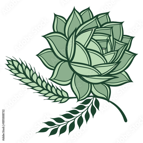 Green succulent plant illustration