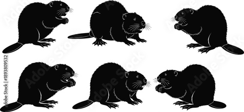 Black silhouette beaver set with semiaquatic rodent icons in various poses for wetland wildlife nature and river animal design elements