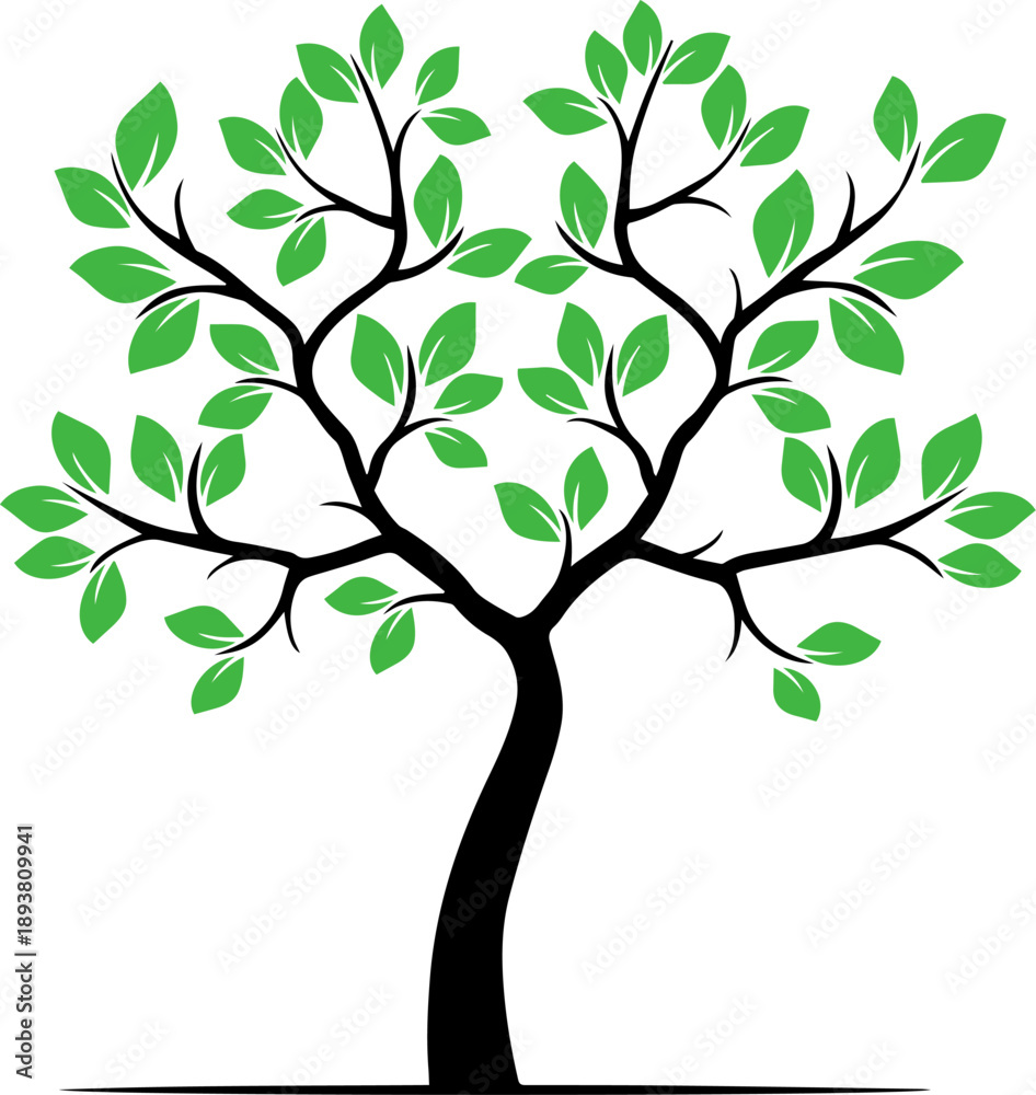Obraz premium vector tree with green leaves
