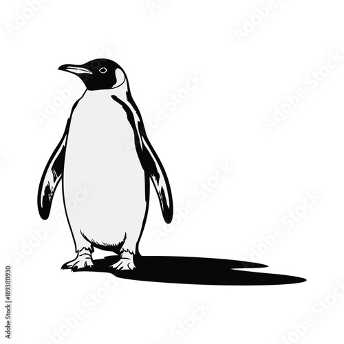 A striking black and white illustration depicts a single penguin standing prominently casting a defined shadow on a plain background high-quality professional.