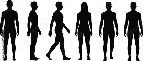 Human body silhouette set showing male and female figures in front, side, and walking poses, ideal for anatomy, motion