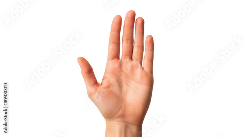 Foto Isolated human palm, hand up, fingers spread, gesture of stopping, halt, attenti