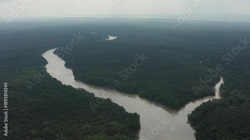 Wallpaper Mural Overhead drone captures winding river slicing through dense mangrove jungle under hazy cloudy skies. Torontodigital.ca