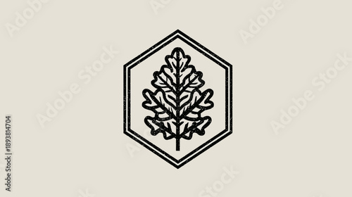 Elegant black and white line art illustration featuring a detailed oak leaf design enclosed within a geometric hexagonal frame