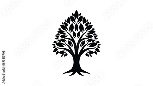 a detailed black tree illustration with intricate leaf details silhouette