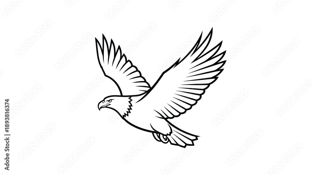 Fototapeta premium a detailed black and white drawing of a bird in flight silhouette
