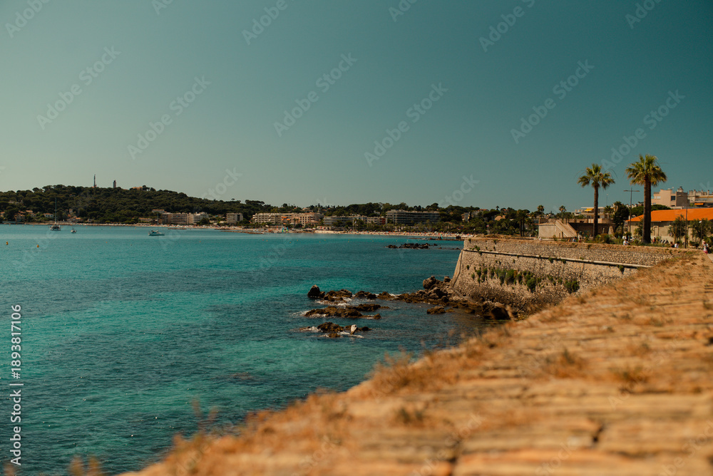 Fototapeta premium Beautiful Mediterranean coastline with turquoise sea, stone promenade and palm trees on a sunny summer day. Scenic seaside landscape, travel destination concept, calm and relaxing atmosphere.