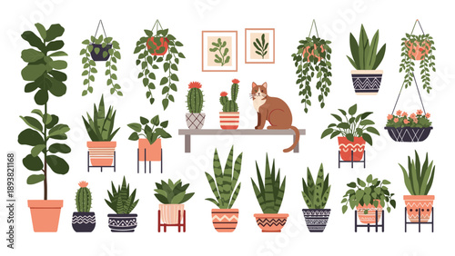 Charming illustration set of various indoor houseplants in decorative pots, featuring a cute cat sitting on a shelf among succulents and hanging plants.
