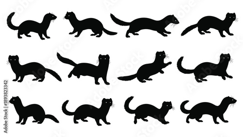 Detailed Collection of Weasel and Ferret Silhouettes, Illustrating Various Walking and Posing Movements, Perfect for Nature, Wildlife, Animal, and Hunting Design Concepts.