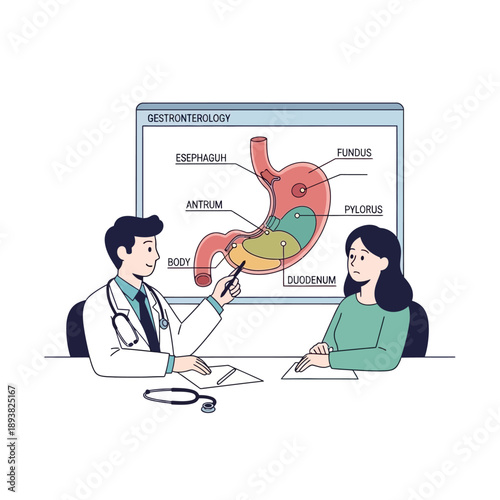 Doctor Explaining Stomach Anatomy to Patient, Gastroenterology Concept