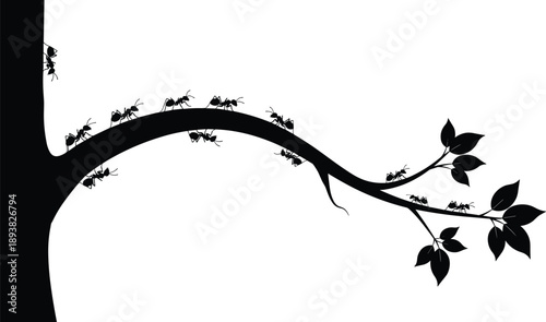 Black Ants Silhouette Crawling on Tree Branch with Leaves Isolated on White Background Minimalist Nature Illustration Insect Colony Wildlife Teamwork Concept Graphic