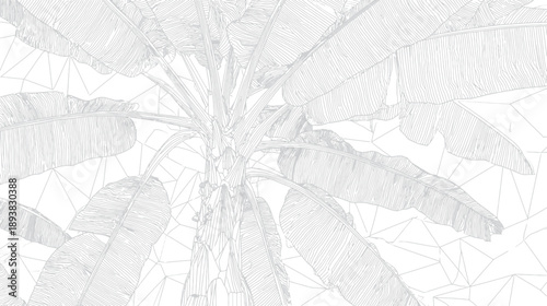 Abstract Wireframe Banana Tree Illustration. Geometric Tropical Palm Plant on White. Low Poly Digital Render Background.