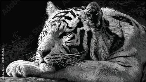 Black and White Portrait of a Resting Tiger, Majestic Wild Cat Sleeping Peacefully with Striped Fur
