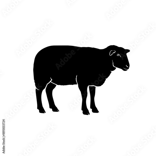 A black silhouette of a sheep standing sideways on a white background, depicting a common farm animal.