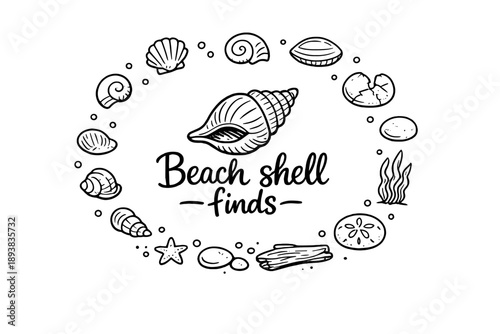 Beach shell finds. Hand-drawn doodle illustration of Beach shell finds. In the middle, one slightly larger