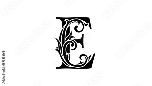 Elegant black alphabet letter e design