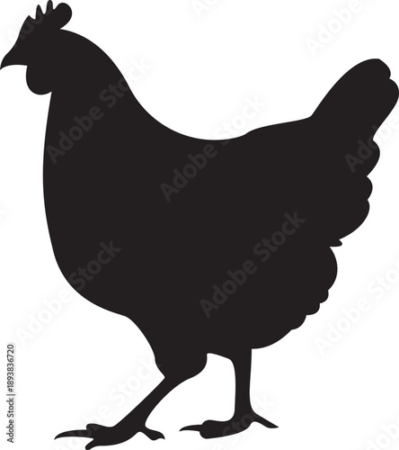 Detailed Black Silhouette of a Standing Farm Hen in Profile View, Perfect Vector Graphic Icon or Logo Element for Agriculture and Food Design