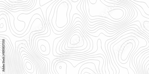 Black and white lines seamless Topographic map patterns, topography line map. Vintage outdoors style. The stylized height of the topographic map contour in lines and contours isolated on transparent.