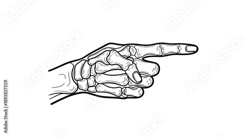 Skeleton hand pointing illustration