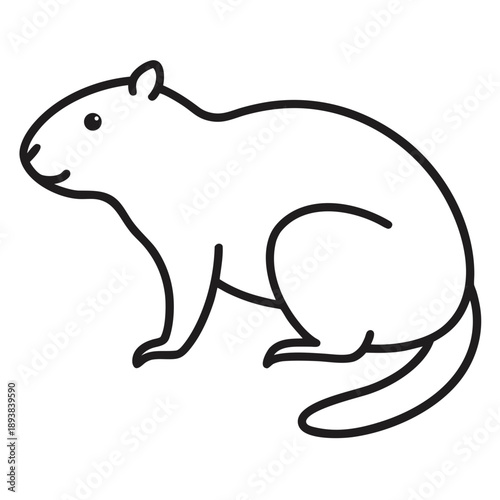 Artistic nutria illustration with a simple thin outline, vector art.