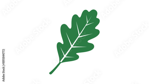 Green Oak Leaf Closeup View.