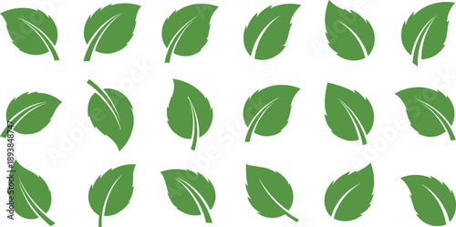 Set of green leaf icons, organic mint leaves, eco-friendly nature symbols, herbal tea elements, foliage silhouettes isolated on white background for design.