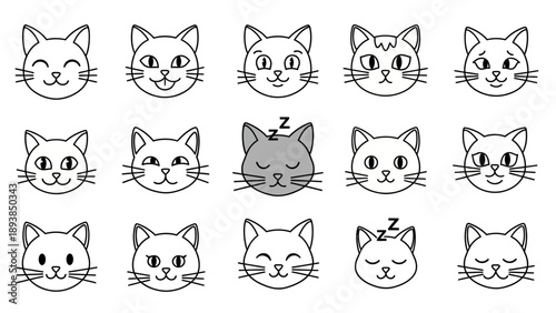 Collection of cat faces expressions.