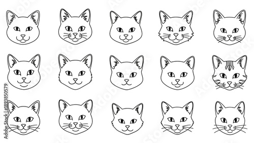 Collection of various cat faces 2.