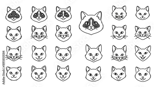 Collection of various cat faces 3.