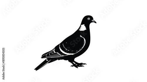 a striking black and white silhouette of a pigeon in flight against a plain background