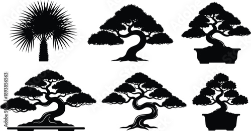 Black silhouette set of Japanese bonsai trees in pots and tropical fan palm tree for zen garden botanical and nature design,