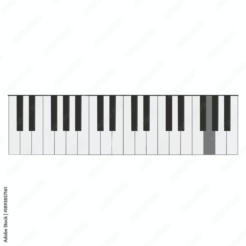 Fototapeta premium Piano Keyboard with Highlighted Key