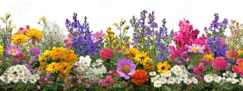 Colorful flower bed bursting with vibrant blooms