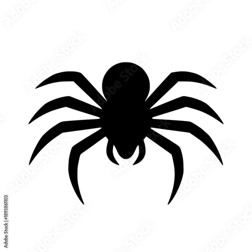 Black spider silhouette on white background vector illustration