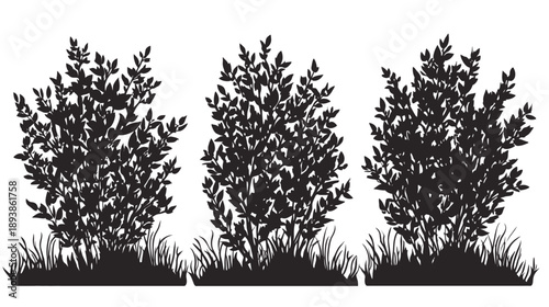 Vector set of three detailed black bush and shrub silhouettes with grass, isolated on white. Nature plant clip art elements.
