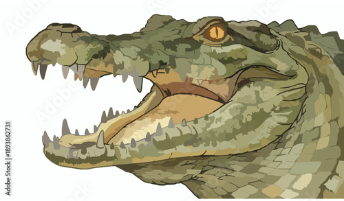 Watercolor crocodile head portrait realistic wildlife vector illustration isolated on white