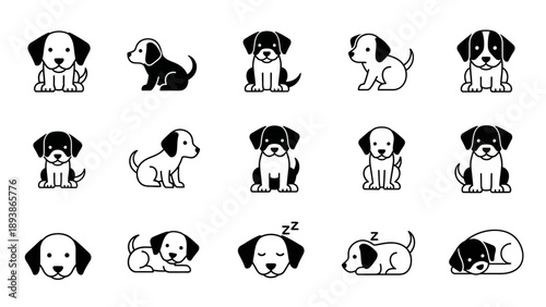 Cute black and white puppy dogs.