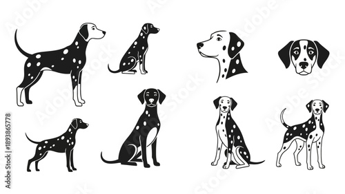 Dalmatian dog breed illustrations.