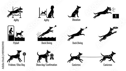 Dogs in various agility positions.