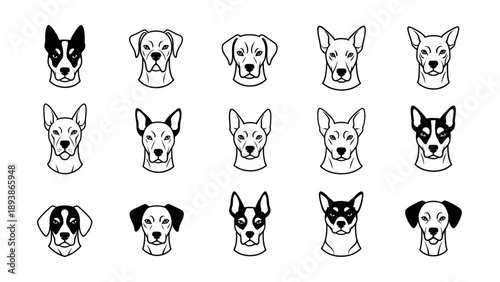 Dogs faces in a variety.