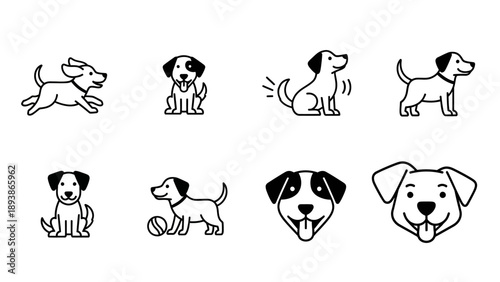 Dogs in various playful poses.