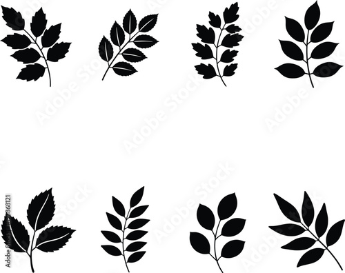 Collection of black pinnate leaf silhouettes vector illustration for botanical nature design and garden foliage graphic elements.